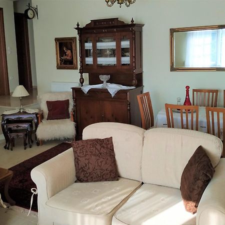 Deppy'S House Κοντά Στα Λουτρά Πόζαρ Apartment Chrysi Bagian luar foto