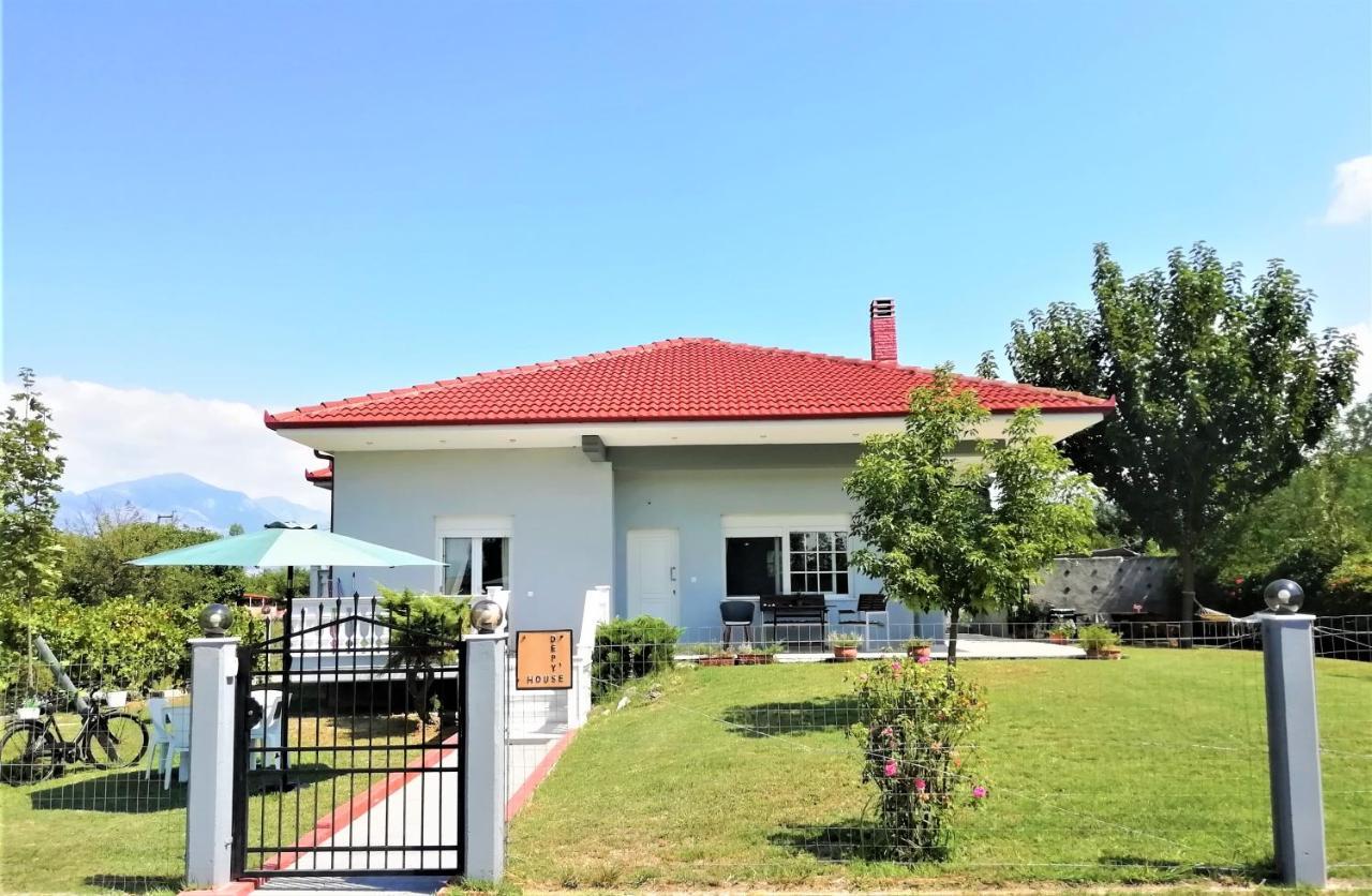 Deppy'S House Κοντά Στα Λουτρά Πόζαρ Apartment Chrysi Bagian luar foto