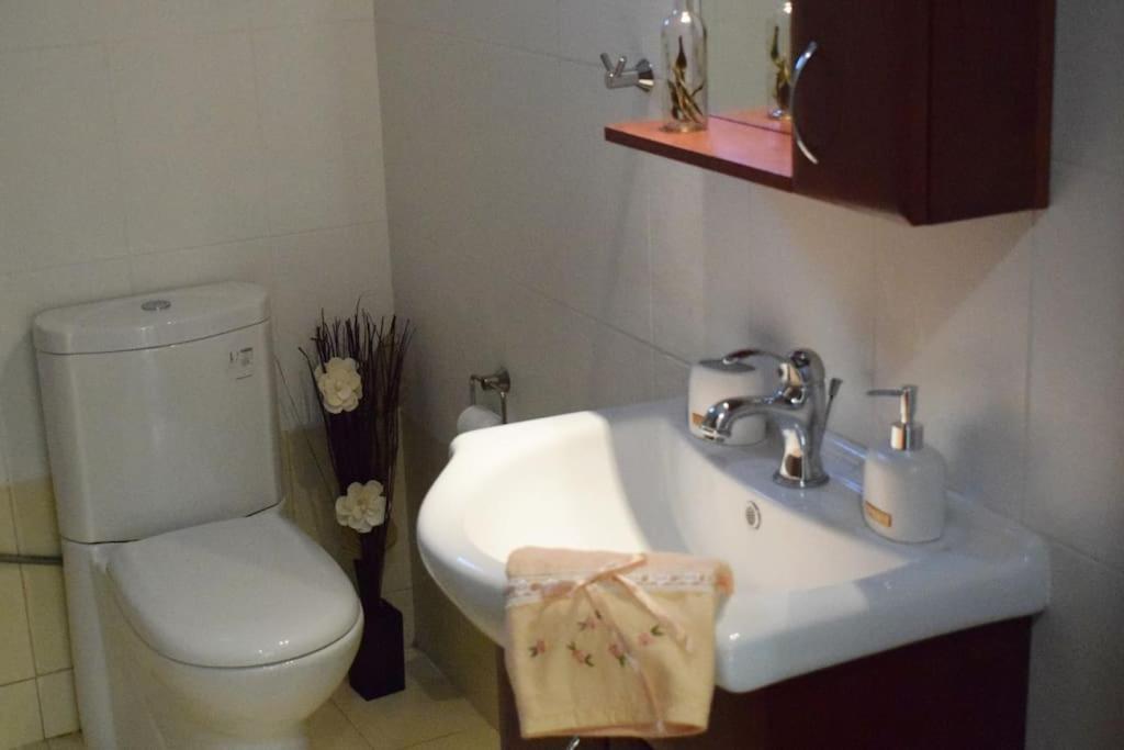Deppy'S House Κοντά Στα Λουτρά Πόζαρ Apartment Chrysi Bagian luar foto