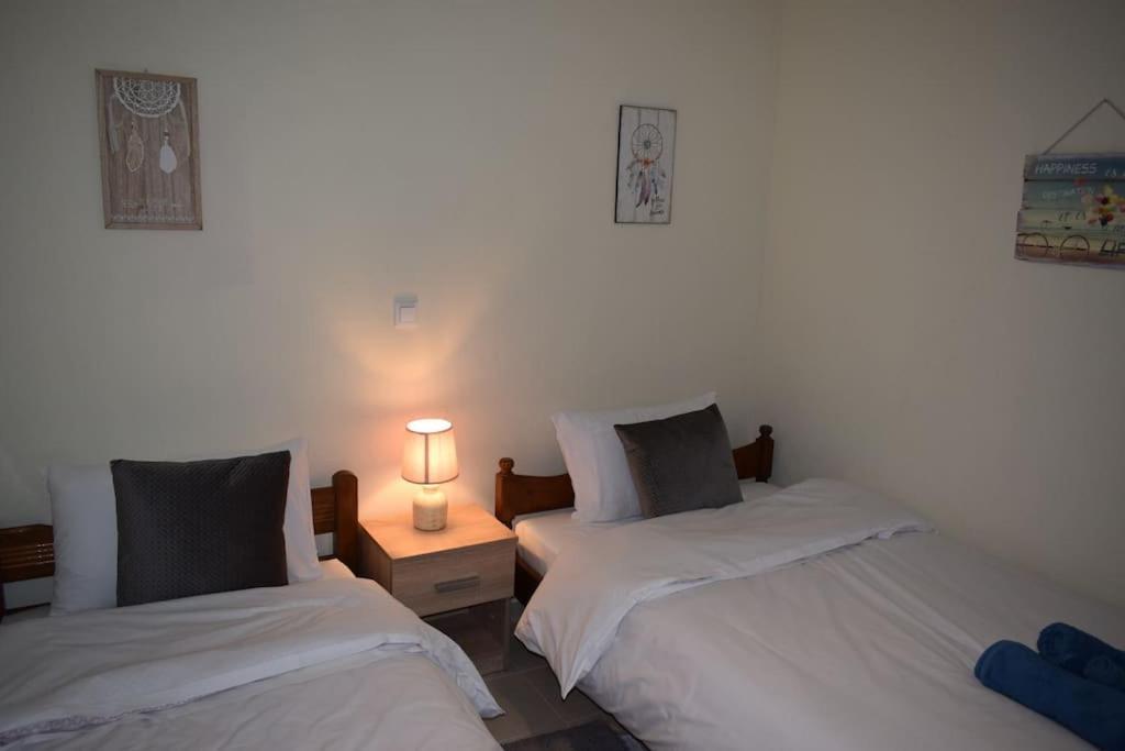 Deppy'S House Κοντά Στα Λουτρά Πόζαρ Apartment Chrysi Bagian luar foto