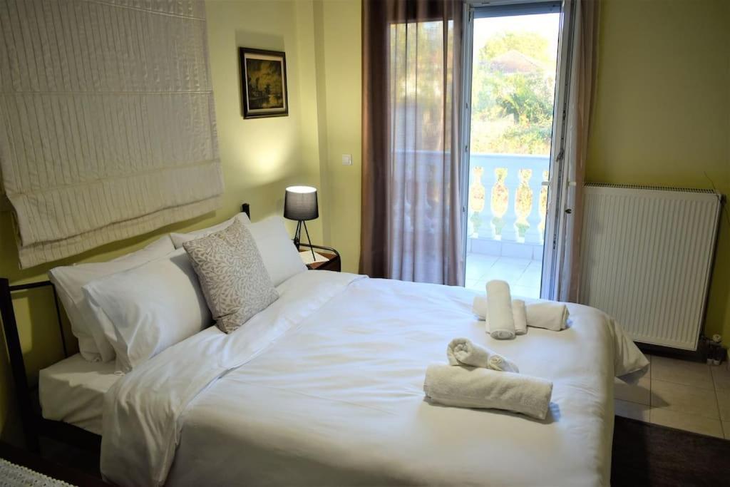 Deppy'S House Κοντά Στα Λουτρά Πόζαρ Apartment Chrysi Bagian luar foto