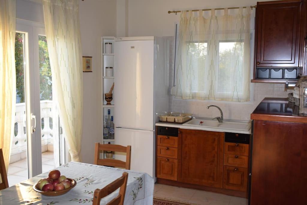 Deppy'S House Κοντά Στα Λουτρά Πόζαρ Apartment Chrysi Bagian luar foto