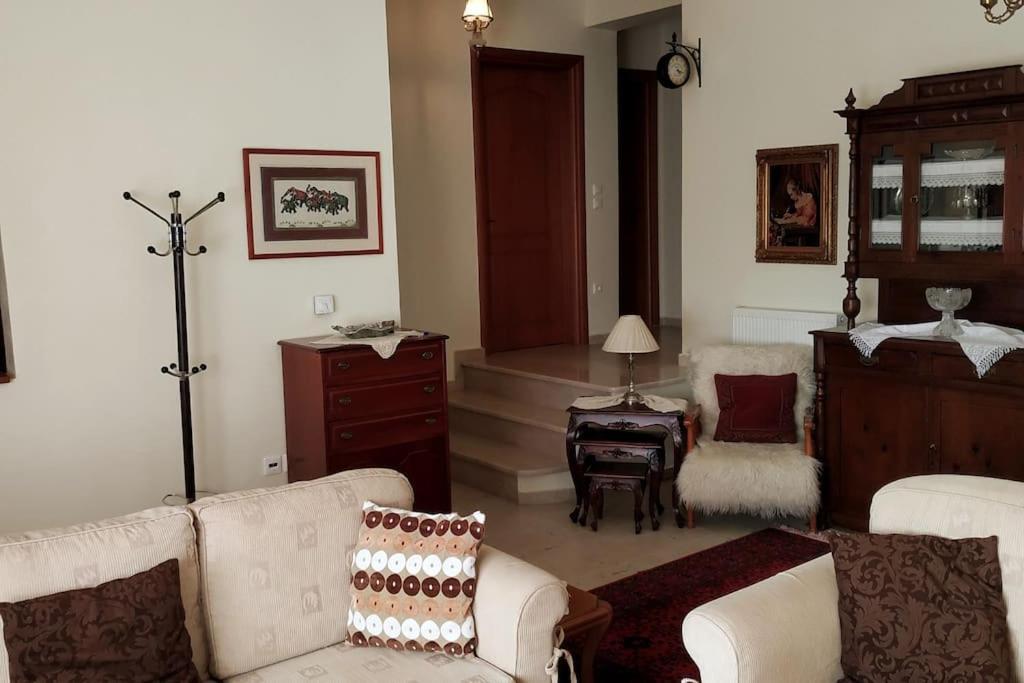 Deppy'S House Κοντά Στα Λουτρά Πόζαρ Apartment Chrysi Bagian luar foto