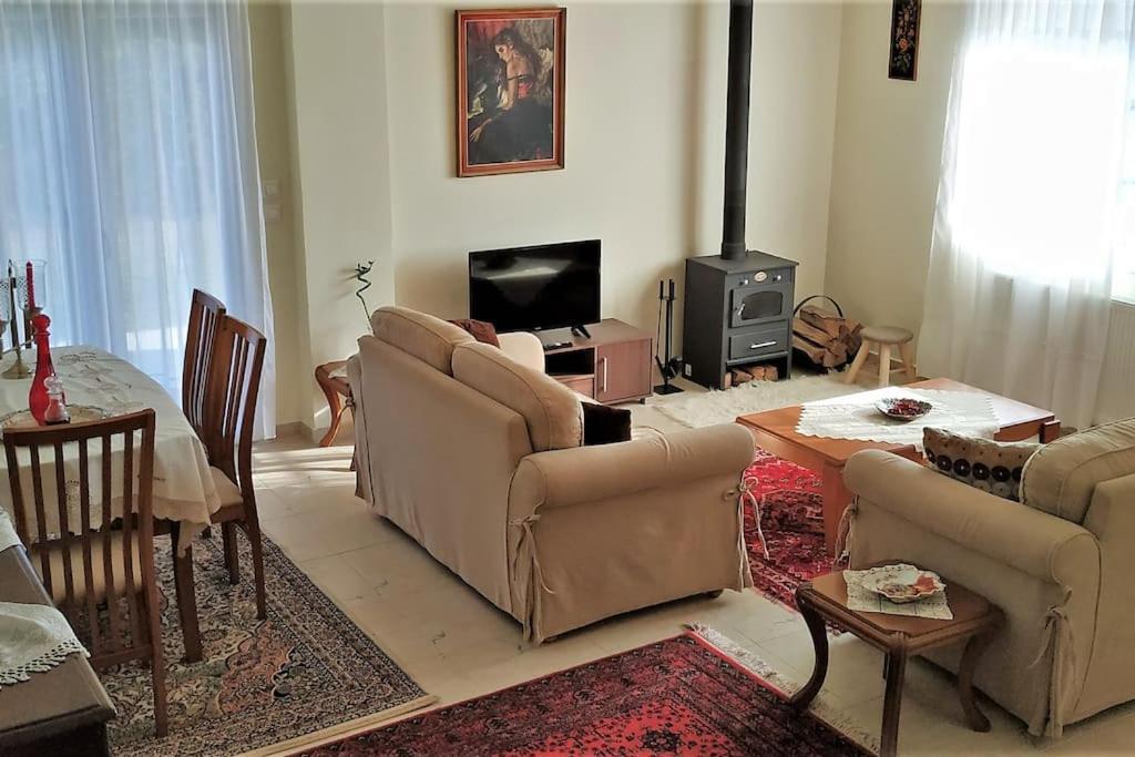 Deppy'S House Κοντά Στα Λουτρά Πόζαρ Apartment Chrysi Bagian luar foto